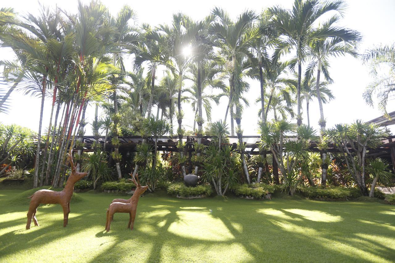 Bed and Breakfast Victoria'S Haven Dumaguete City Exterior foto
